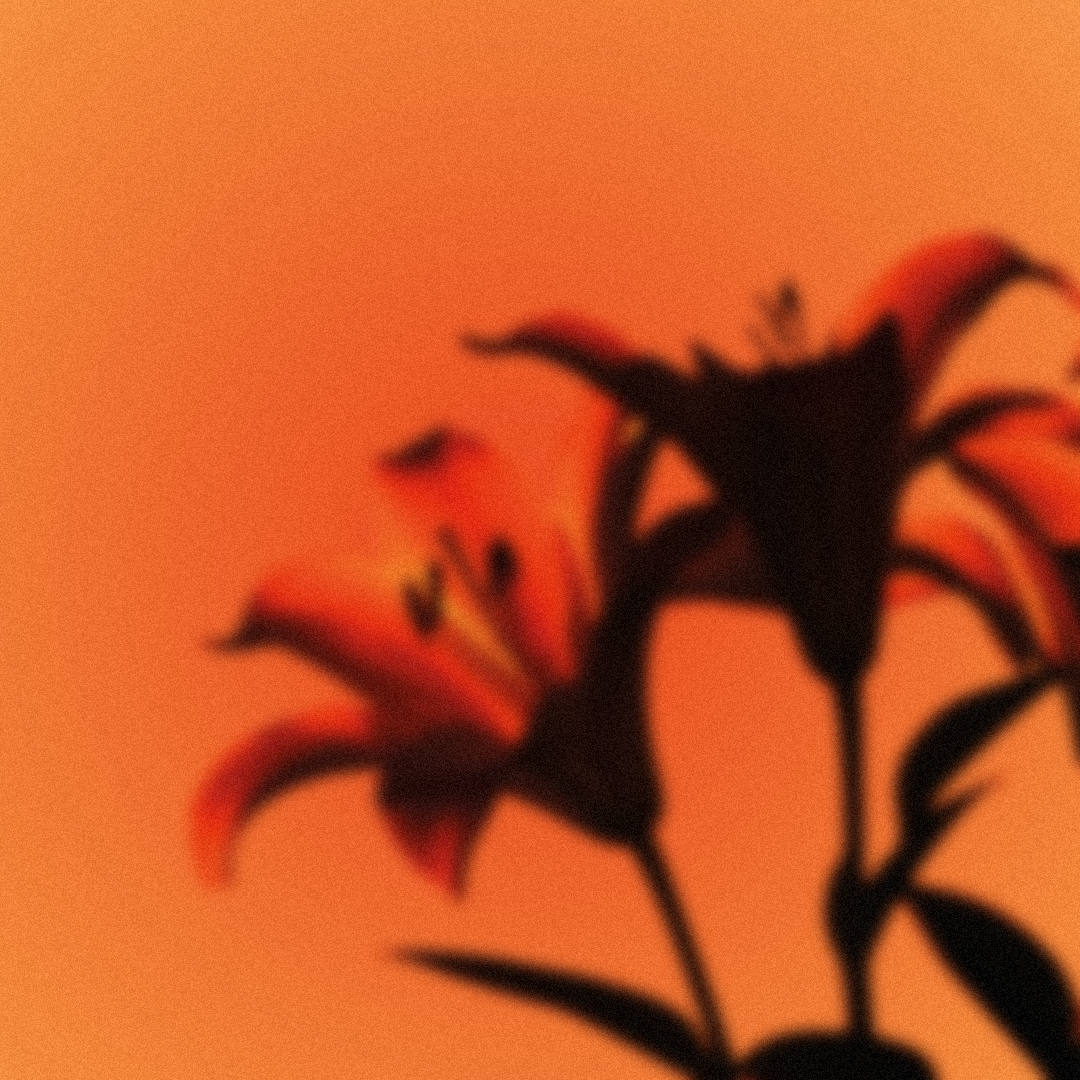 Personal Projects
